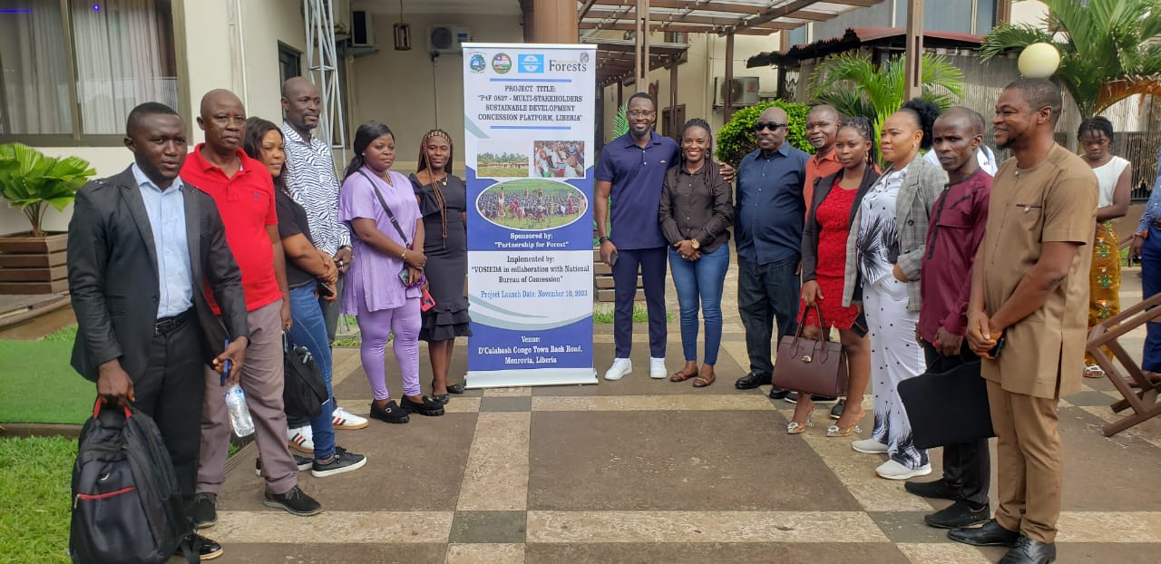 P4F 0837Multistakeholder Sustainable Development Concession Platform