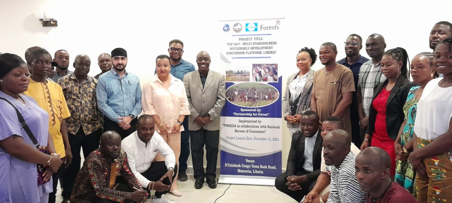 P4F 0837Multistakeholder Sustainable Development Concession Platform